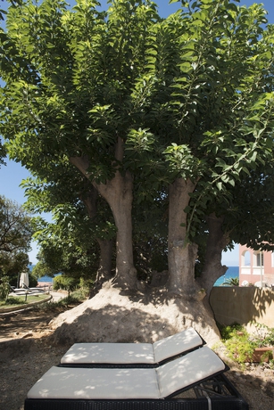 Imagen de los exteriores del Villa Mosca. Foto 10