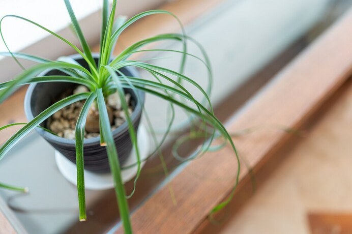 Imagen de la habitación del Villa Palmeras. Foto 18