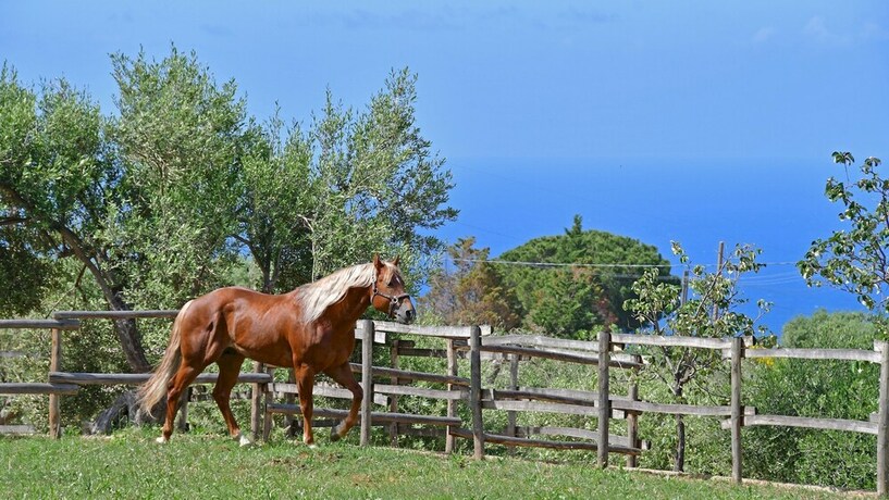 Imagen general del Villa Passulunara 14. Foto 11