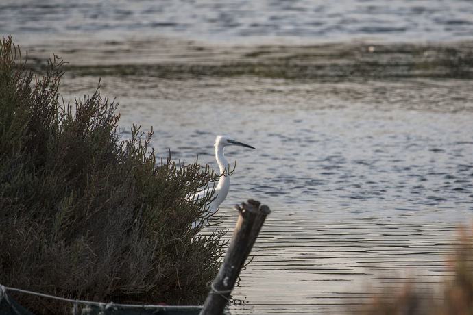 Imagen de los interiores del Villa Santadi Hotel. Foto 14