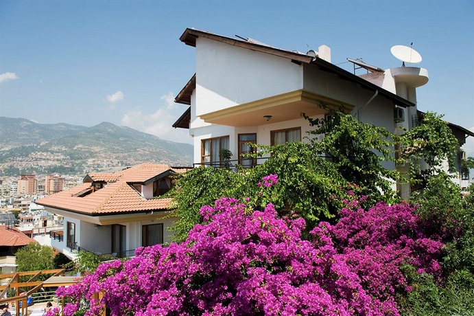 Imagen de los exteriores del Villa Sonata. Foto 8