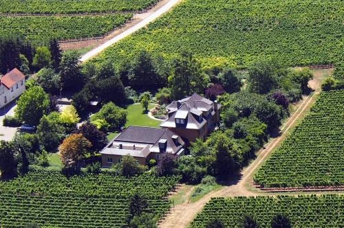 Imagen general del Villa Spiegelberg. Foto 6