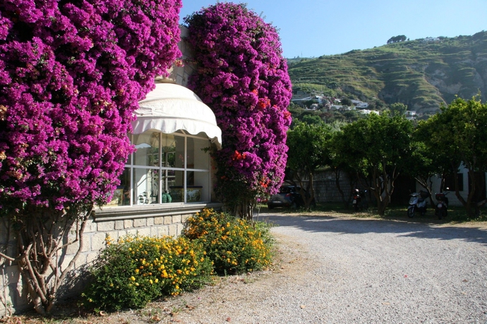 Imagen de los exteriores del Villa Tara. Foto 11