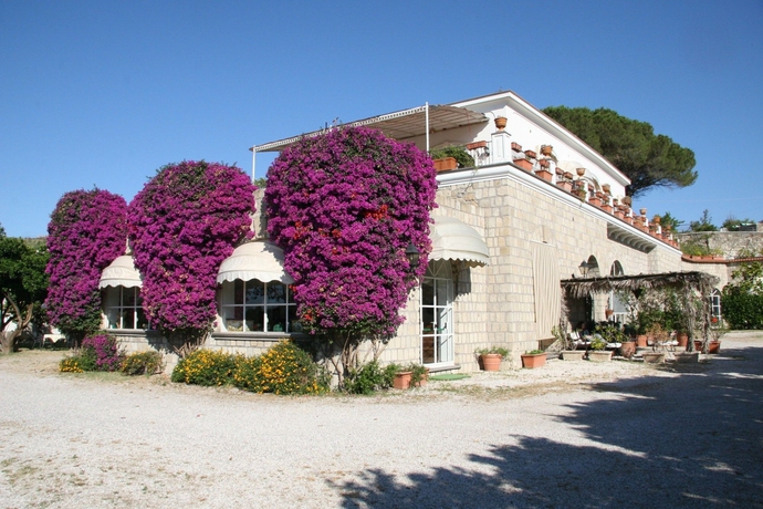 Imagen de los exteriores del Villa Tara. Foto 14