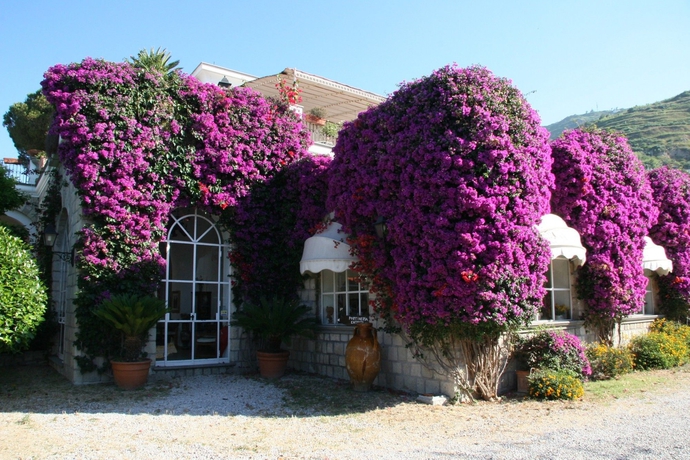 Imagen de los exteriores del Villa Tara. Foto 15