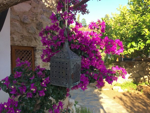 Imagen general del Villa Tokur. Foto 3