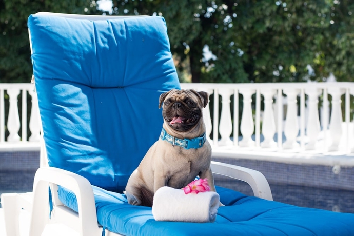 Imagen general del Villa Vera Acapulco. Foto 2