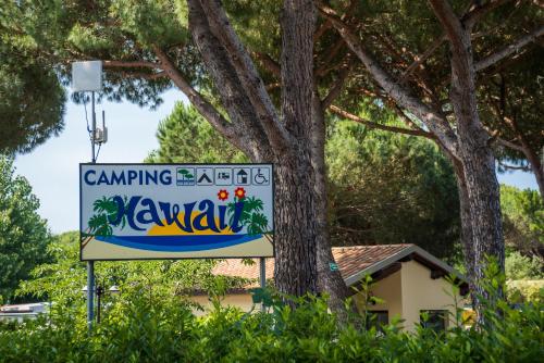 Imagen general del Village Camping Hawaii. Foto 3