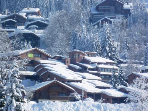 Imagen general del Village De Vacances Les Flocons Verts. Foto 1