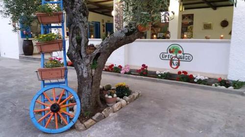 Imagen general del Village Valle D\'Oro ApartHotel. Foto 1