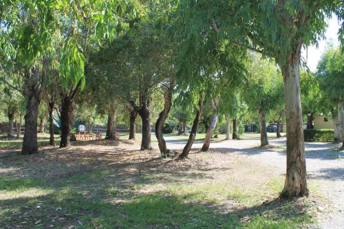 Imagen general del Villaggio Camping Maratea. Foto 6