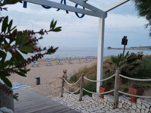 Imagen general del Villaggio Camping Oasi. Foto 2
