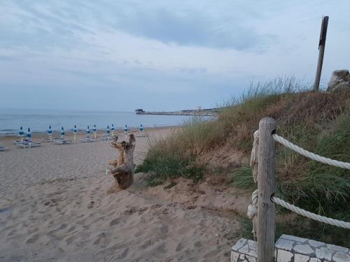 Imagen general del Villaggio Camping Oasi. Foto 3