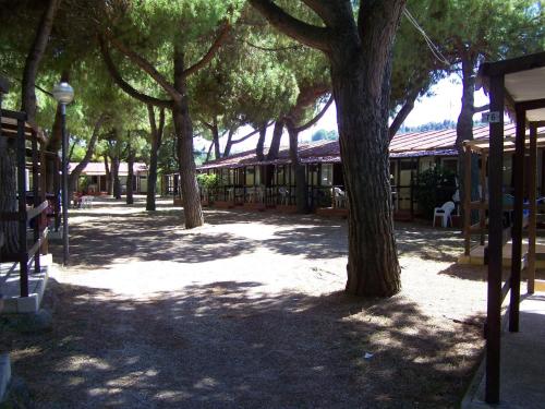 Imagen de la habitación del Villaggio Costa d\'Argento. Foto 6