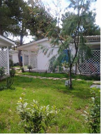 Imagen de la habitación del Villaggio Le Orchidee. Foto 12