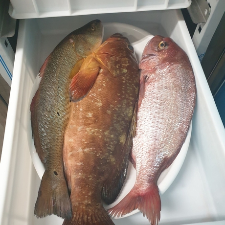 Imagen del bar/restaurante del Villaggio le Palatine. Foto 9