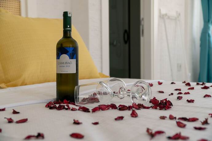 Imagen de la habitación del Vina Garden. Foto 15