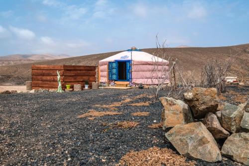 Imagen de los exteriores del Vinero Glamping. Foto 18