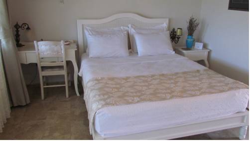 Imagen de la habitación del Vinifera Vineyards Hotel. Foto 6