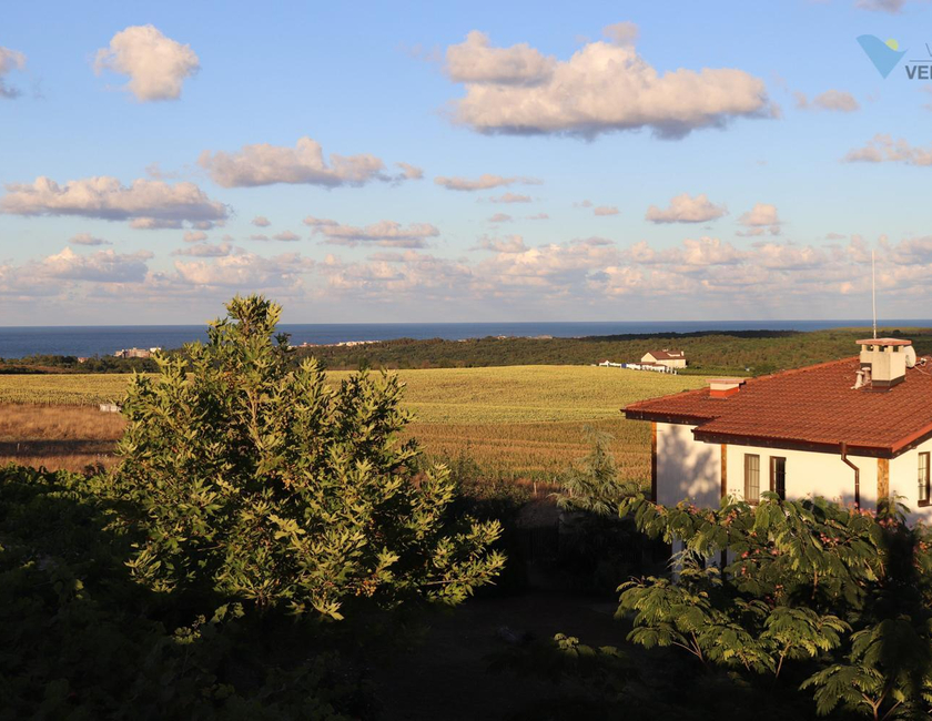 Imagen general del Vis Velika. Foto 5