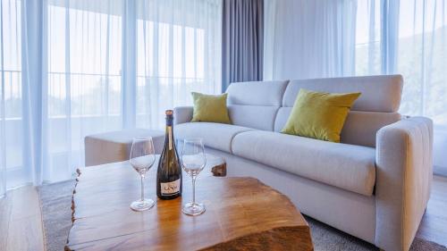 Imagen general del Vista Apartments, Doln&iacute; Morava. Foto 12