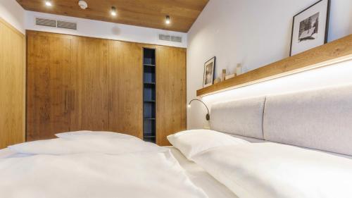 Imagen general del Vista Apartments, Doln&iacute; Morava. Foto 15