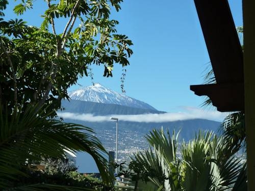 Imagen general del Vistamar, Santa Ursula. Foto 7