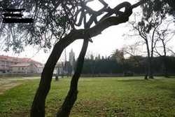 Imagen general del Viviendas Vacacionales Noja. Foto 2