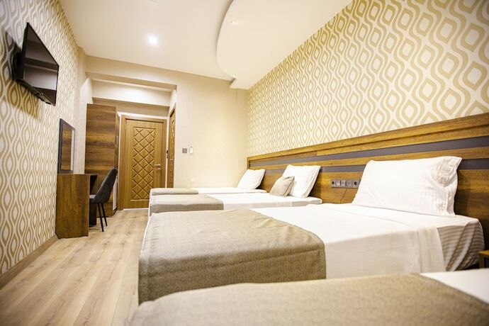 Imagen de la habitación del Vizyon Park Otel. Foto 16