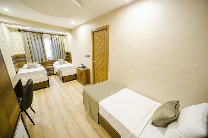 Imagen general del Vizyon Park Otel. Foto 5
