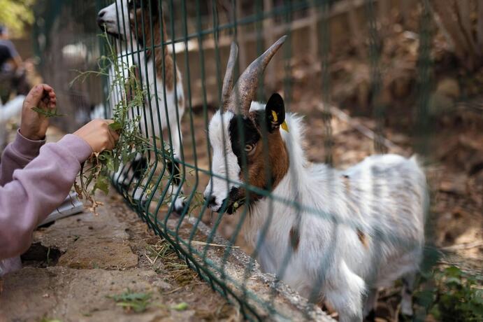 Imagen general del Vvf Narbonne-plage Saint-pierre-la-mer. Foto 13