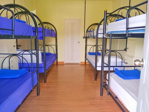 Imagen de la habitación del WET! a Pool Party Hostel by Wild & Wandering. Foto 20