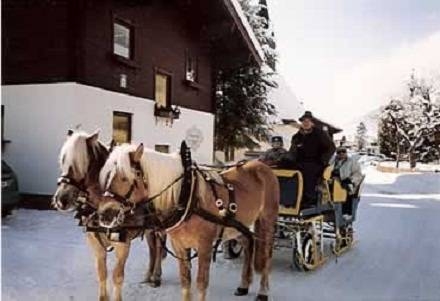 Imagen general del Wagnerh&auml;usl. Foto 5