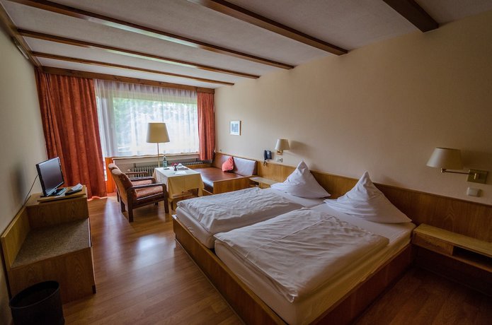 Imagen de la habitación del Wagners Hotel im Fichtelgebirge. Foto 13