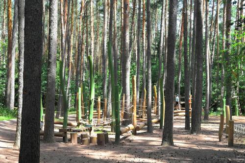 Imagen general del Waldcamping Brombach. Foto 3