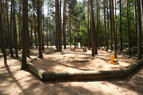 Imagen general del Waldcamping Brombach. Foto 5