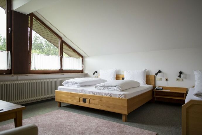 Imagen de la habitación del Waldgasthof Gel&auml;nder. Foto 14