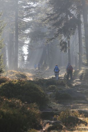 Imagen general del Waldhotel Achtermannstor. Foto 4