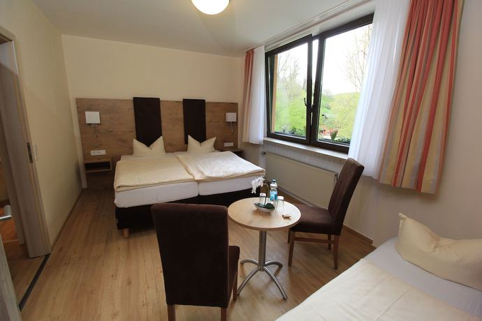 Imagen de la habitación del Waldhotel Albachmuehle. Foto 13