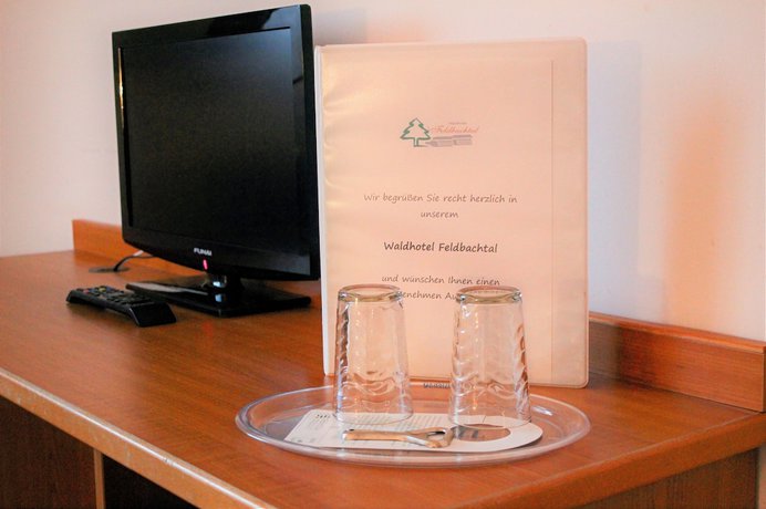 Imagen de la habitación del Waldhotel Feldbachtal. Foto 17