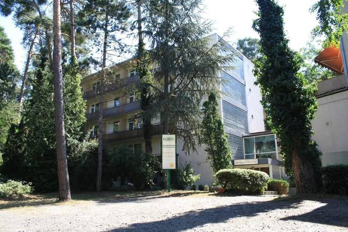 Imagen general del Waldhotel Mainz. Foto 1