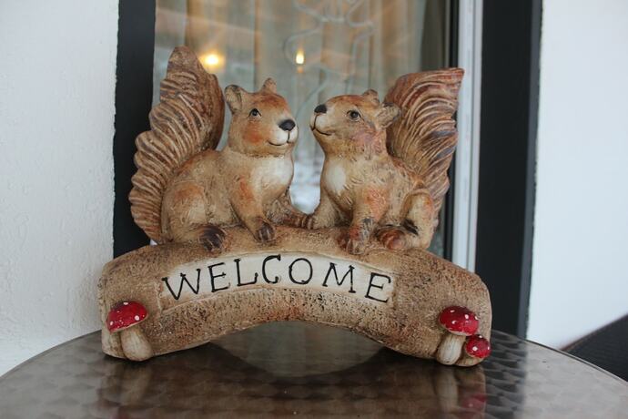 Imagen general del Waldhotel Pfeiferhaus. Foto 6