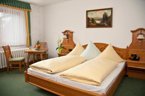 Imagen general del Waldhotel Rennsteighof. Foto 7
