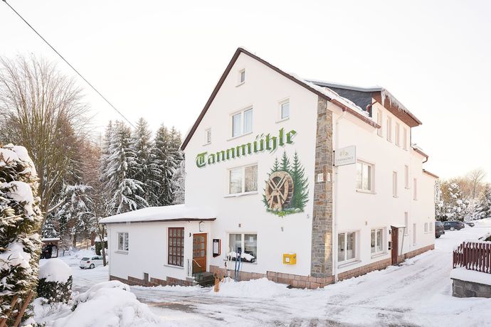 Imagen general del Waldhotel Tannmuehle. Foto 1