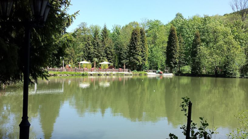 Imagen de los exteriores del Waldhotel and Restaurant Zur Holzmühle. Foto 17