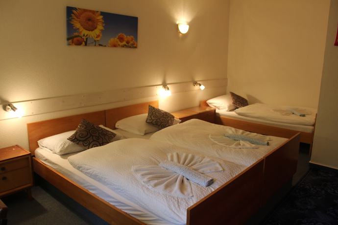 Imagen de la habitación del Waldpension Pfeiferhaus. Foto 9