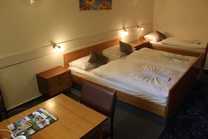 Imagen de la habitación del Waldpension Pfeiferhaus. Foto 16