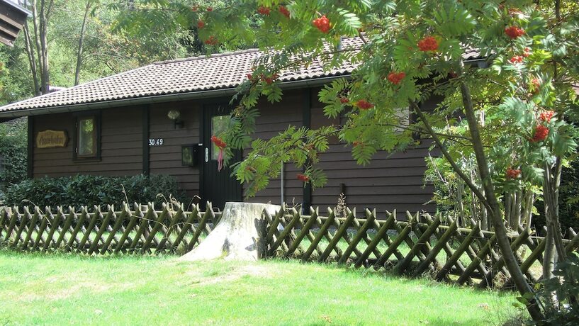Imagen general del Waldsee Feriendienst. Foto 12