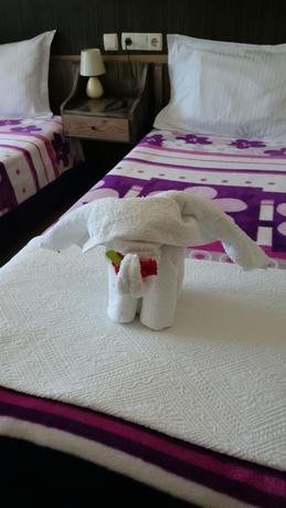 Imagen de la habitación del Wallabies Aquaduct Hotel. Foto 5