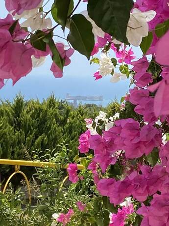 Imagen de la habitación del Watercastle Suits. Foto 19